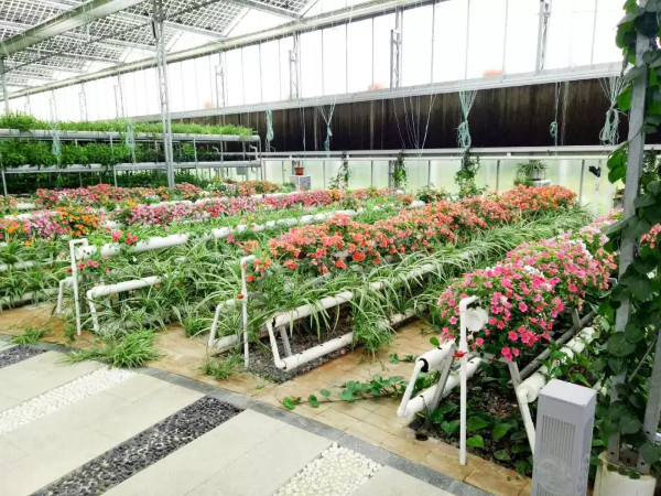 蕪湖信德房車露營拓展基地
